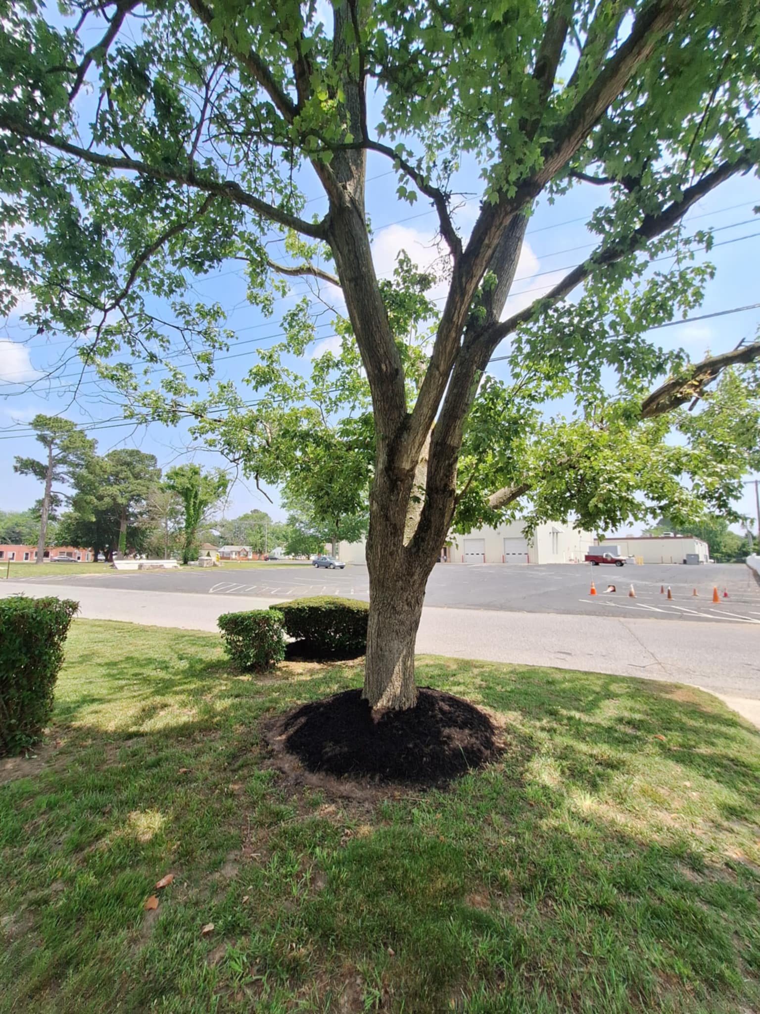 089a51c3-fde2-4e6c-8c81-3ff2deb8f67f