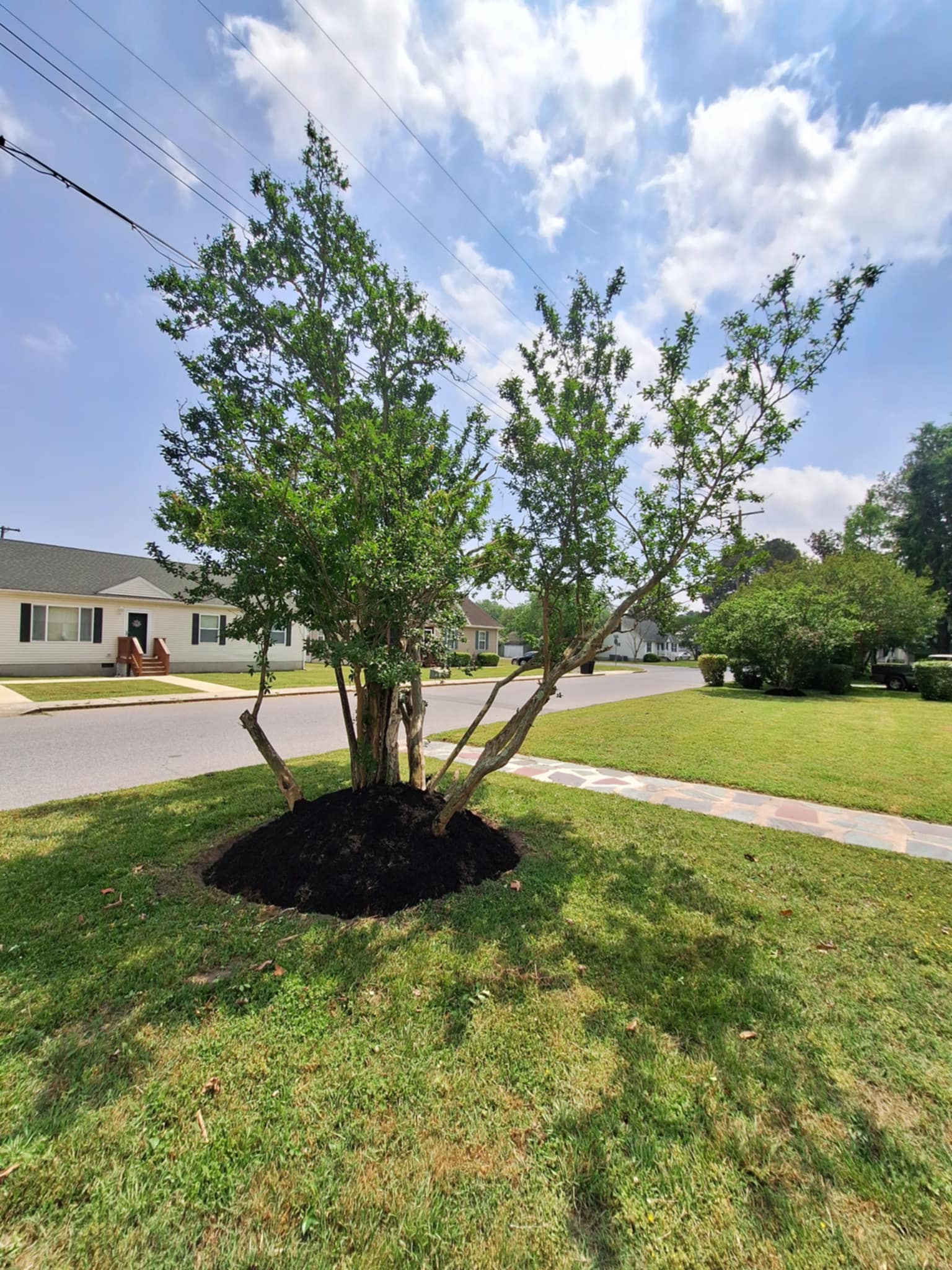 22c26c15-9dd9-4ce4-a641-85b3beaa501b