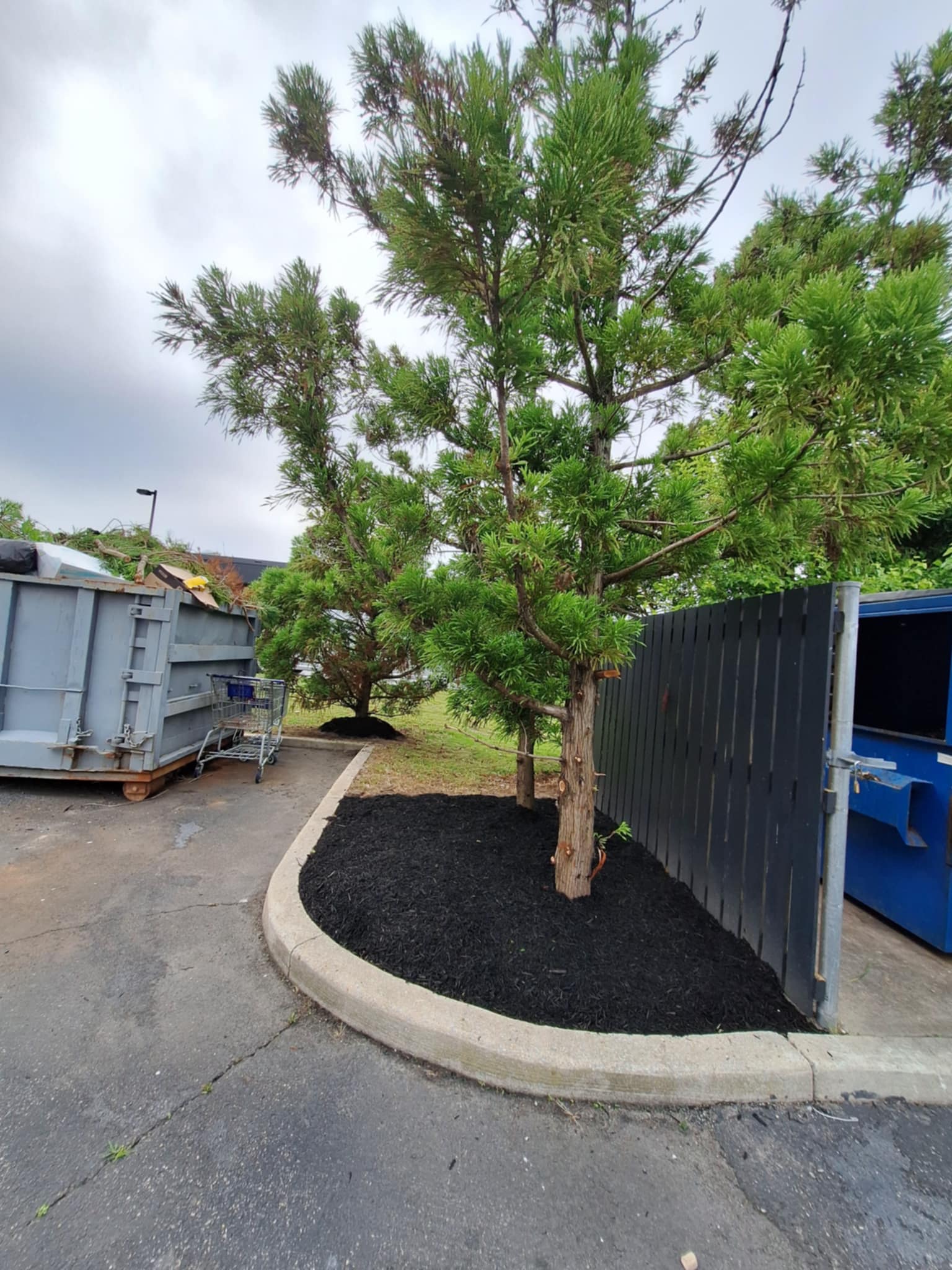 3285bb2b-d501-4574-a273-8131d53d05f7