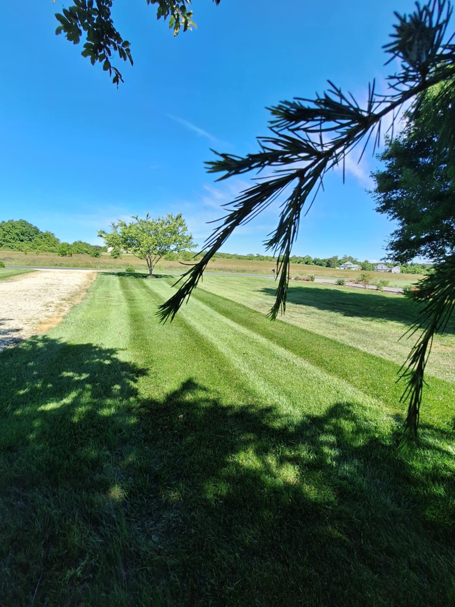 3ea5827b-78d8-458d-a218-c3c4b911a644