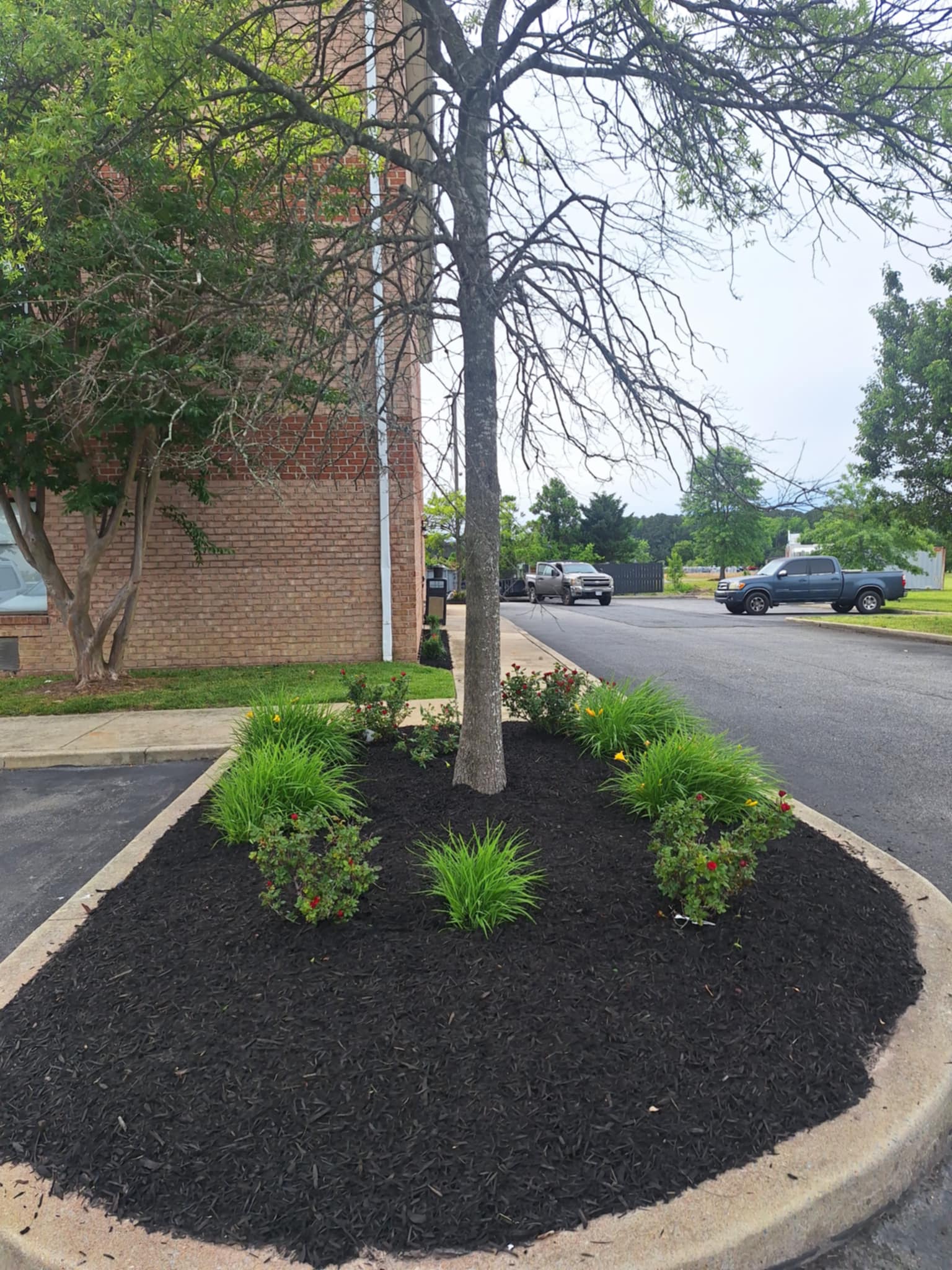 b0c83cba-8374-4531-b403-d592e89db2a4